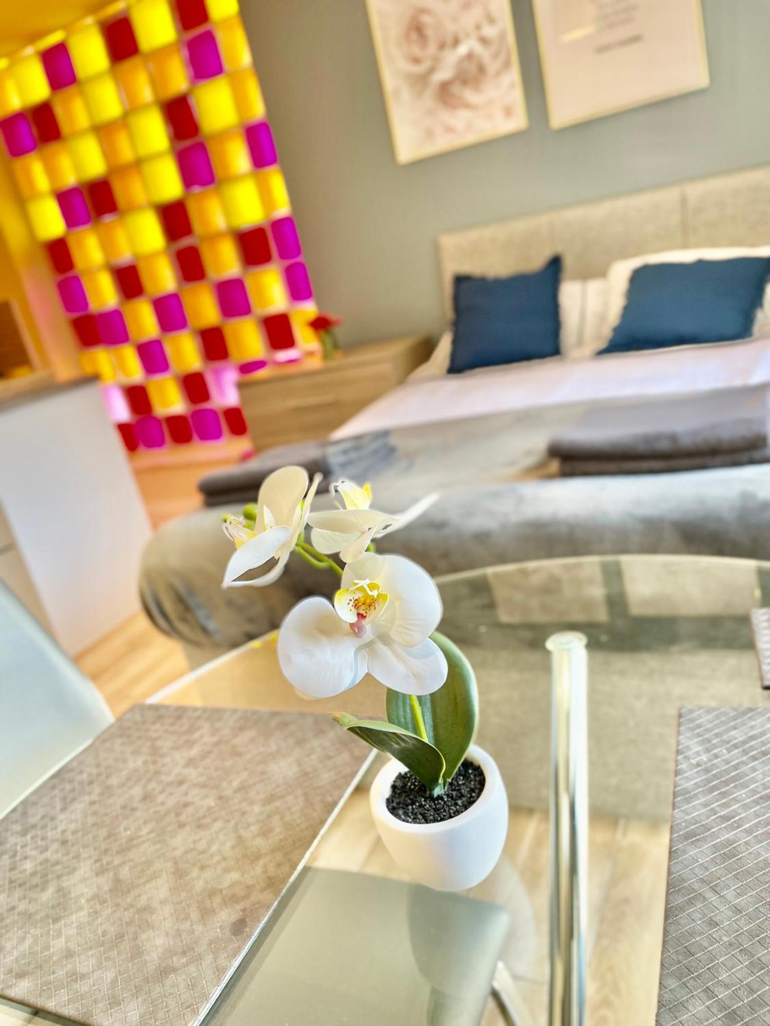 Cambridge City Centre Immaculate Studio Sleeps 2 - Central Location Paradise Street Exterior photo